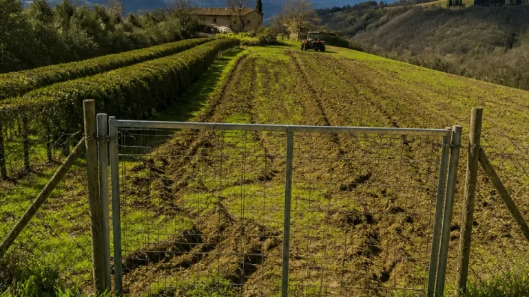 Cabina di Regia venatoria propone in Regione di rendere responsabili i proprietari che escludono i terreni dalla caccia